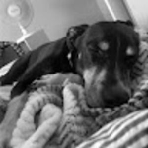 Meet your Posher, Kristina